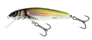 Salmo Minnow Floating 5cm - 